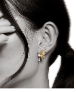 Gold-plated ear studs Butterfly Paradise with stones