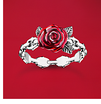 Silver ring Roses Romance