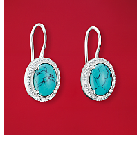 Silver Earrings with Turquoise Oval Stones