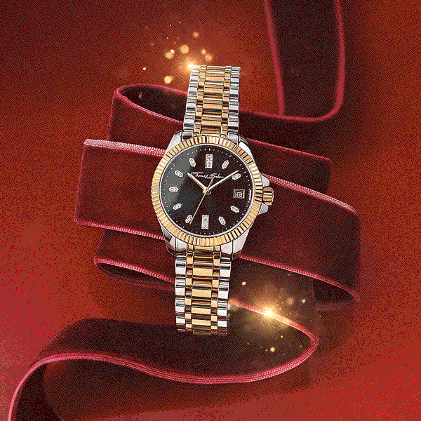 Women’s watch bicolour