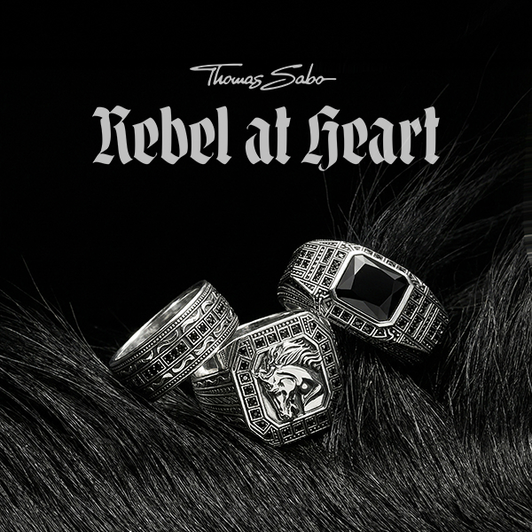 Rebel at Heart Wild Horses