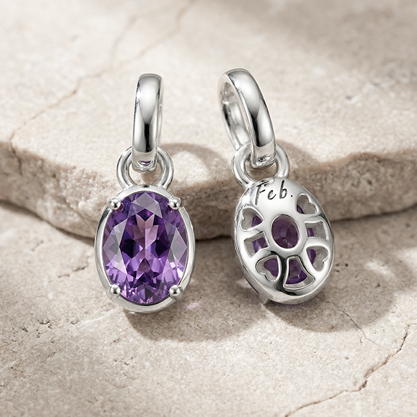 Silver Charm Pendant Birthstone February Connect