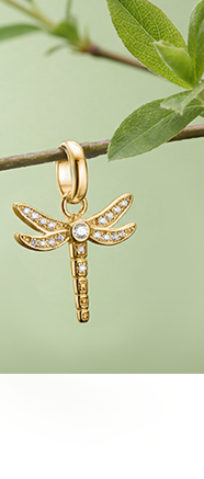 Charm pendant dragonfly with stones Connect gold-plated