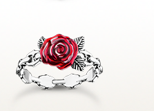 Silver ring Roses Romance