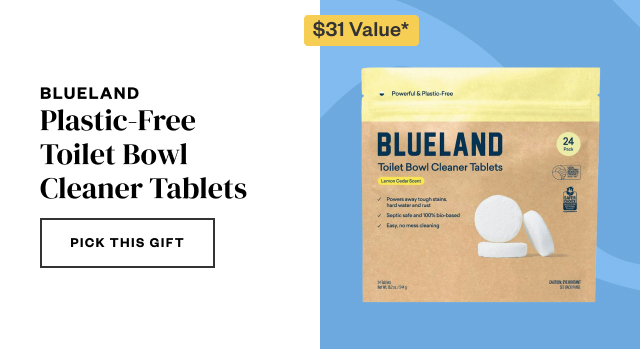 Blueland. Pick this gift.