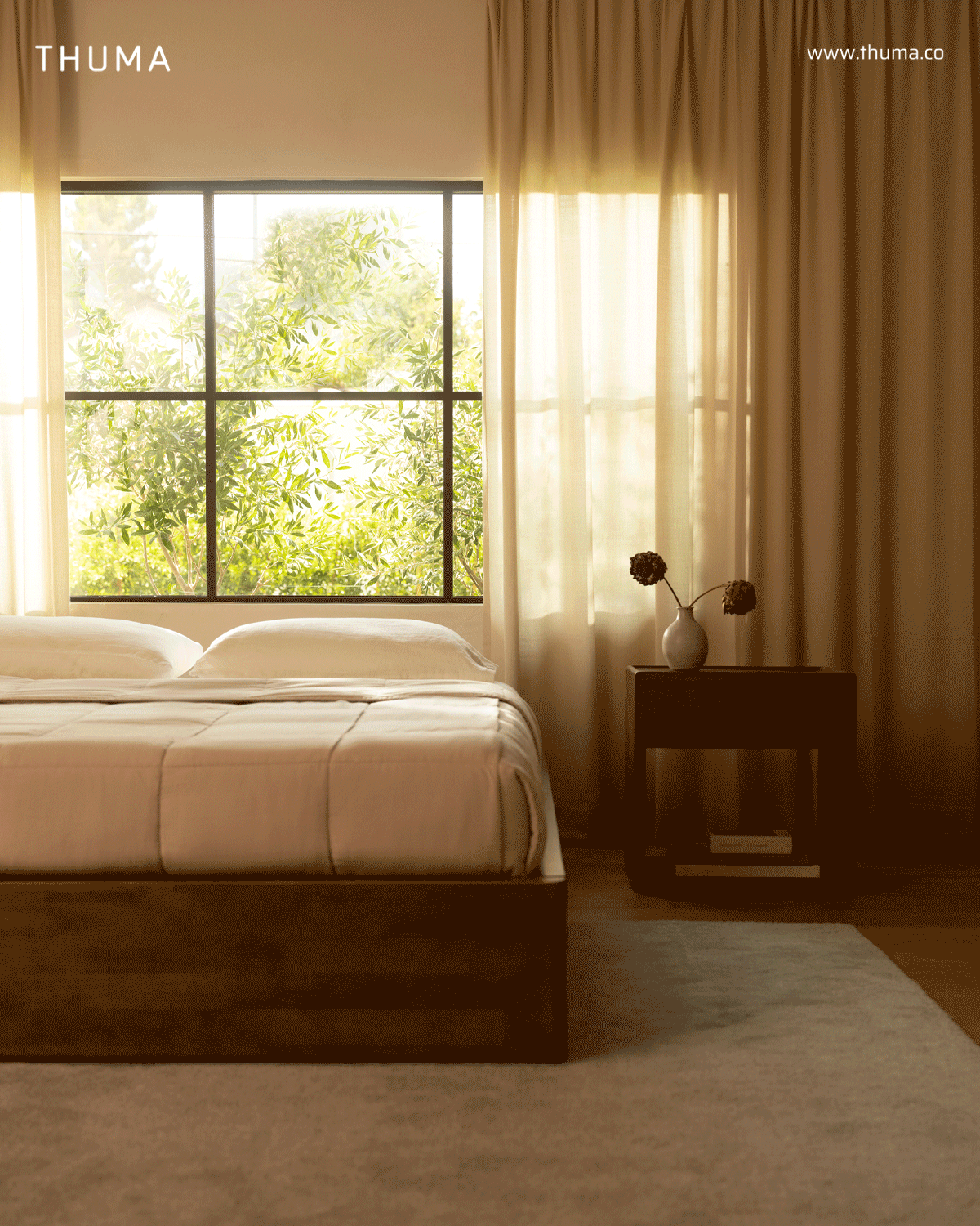 Spotlight on Walnut.