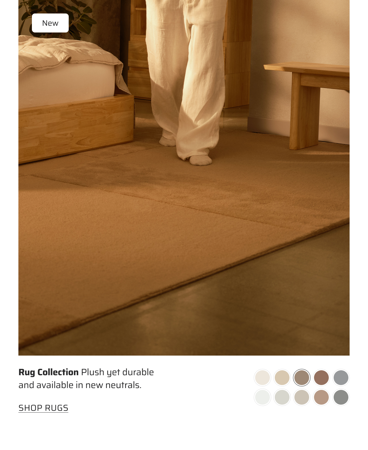 Shop rugs.