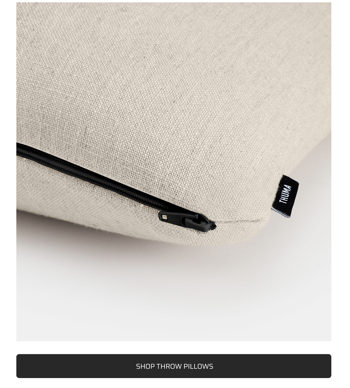Shop throw pillows.