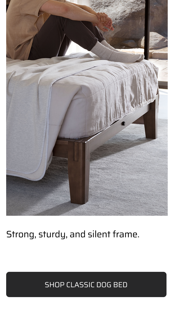Shop Classic Dog Bed.