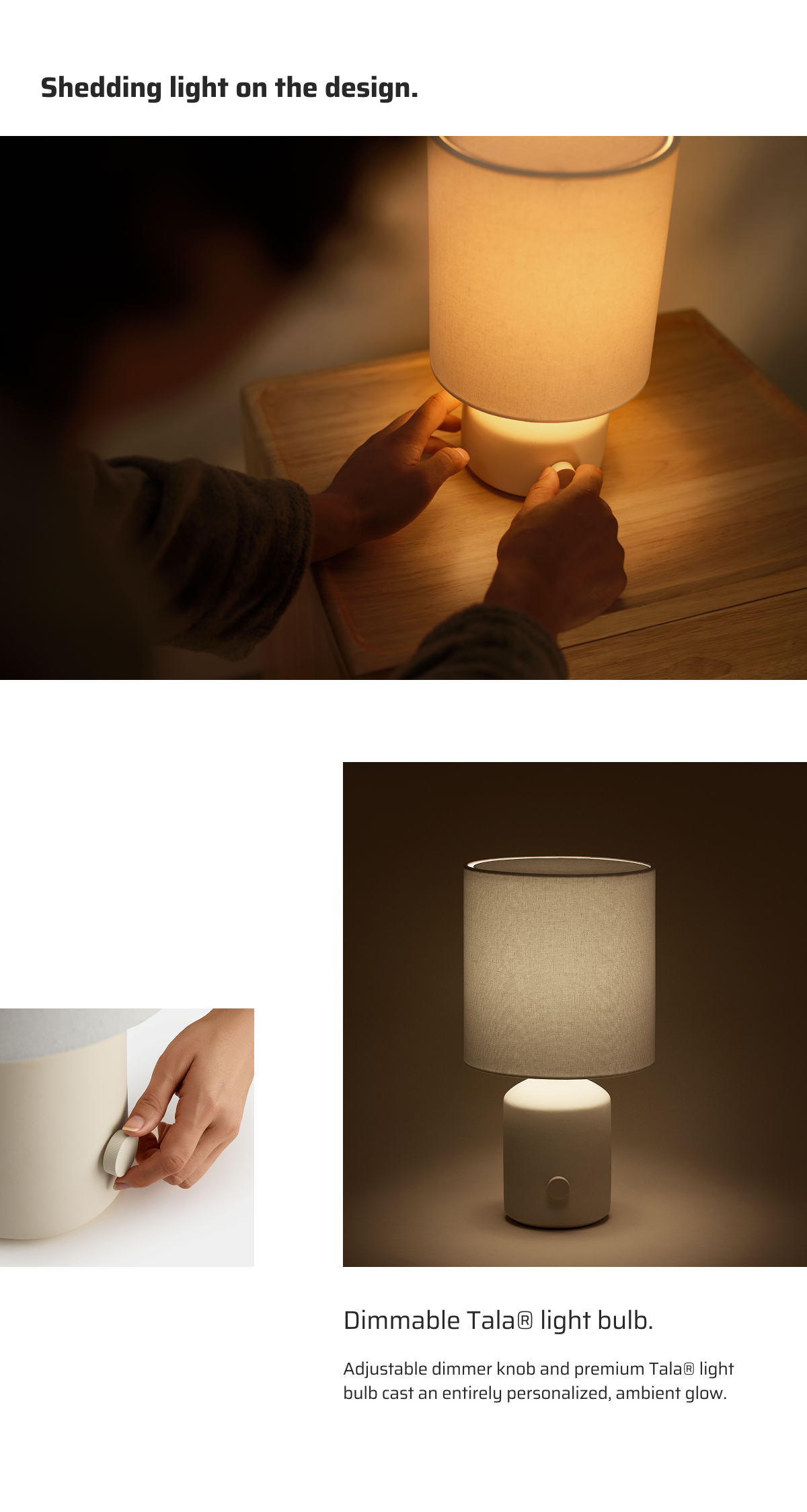 Shedding light on the design.
