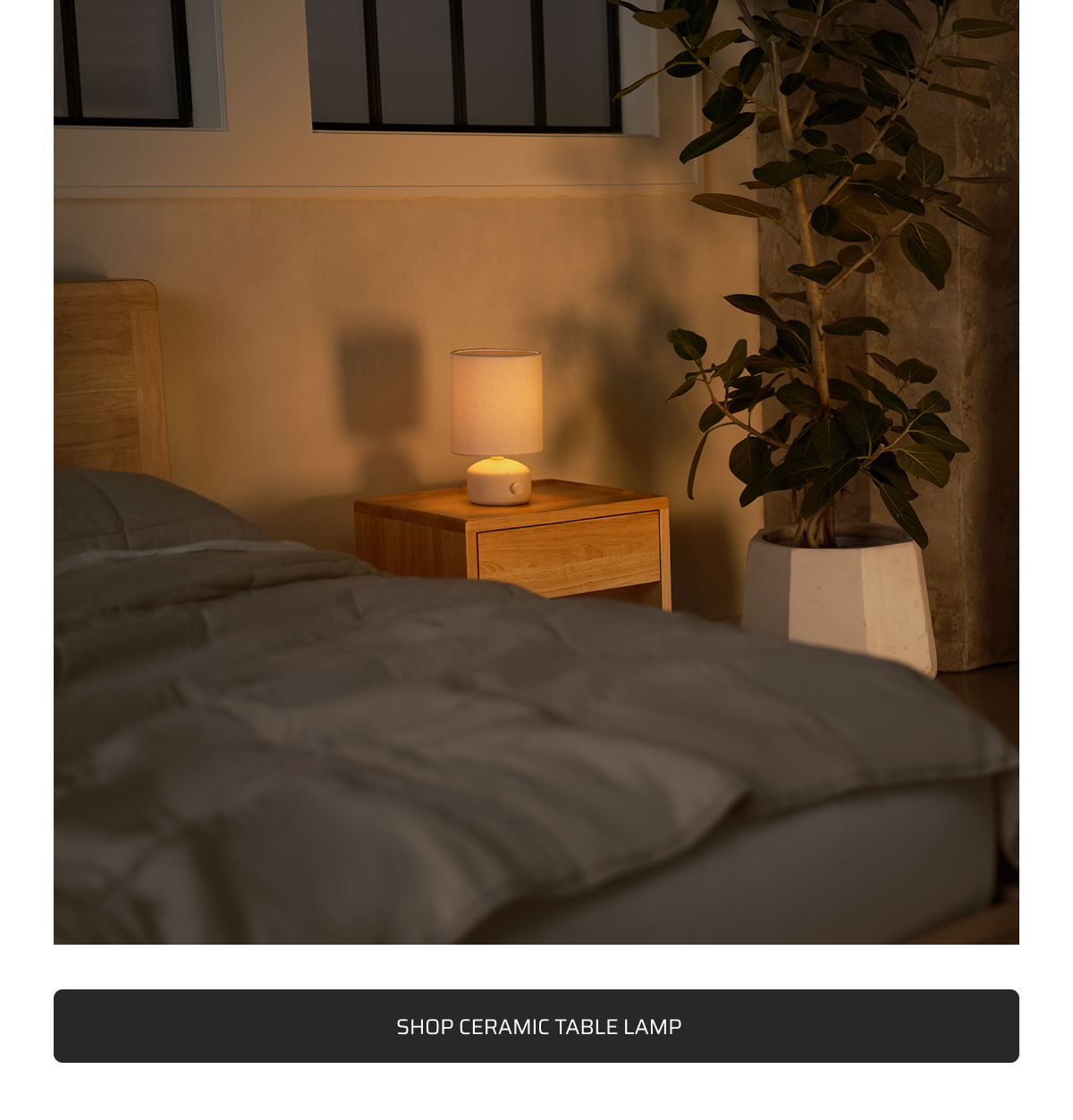 Shop Ceramic Table Lamp.