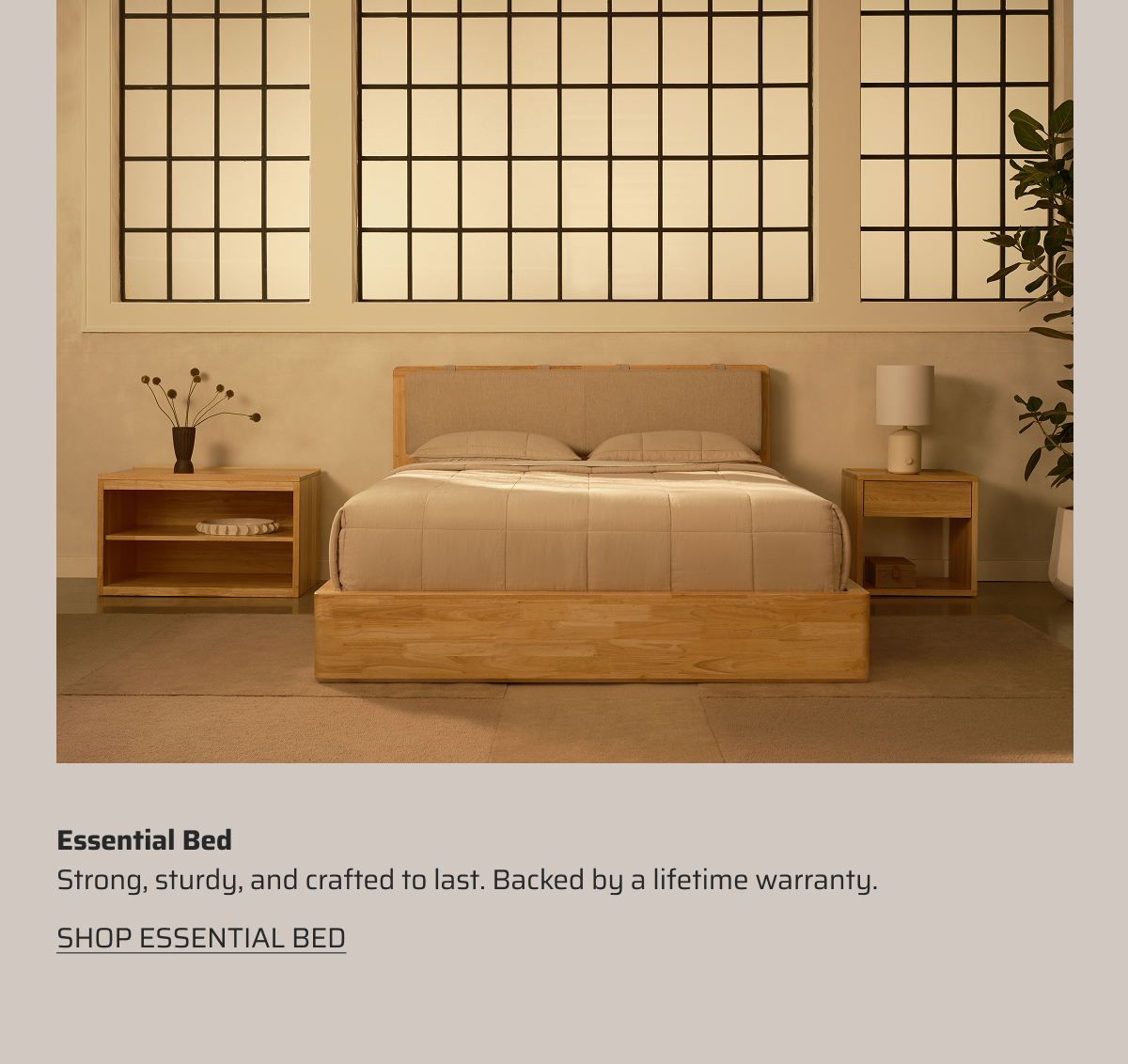 Shop Essential bed.