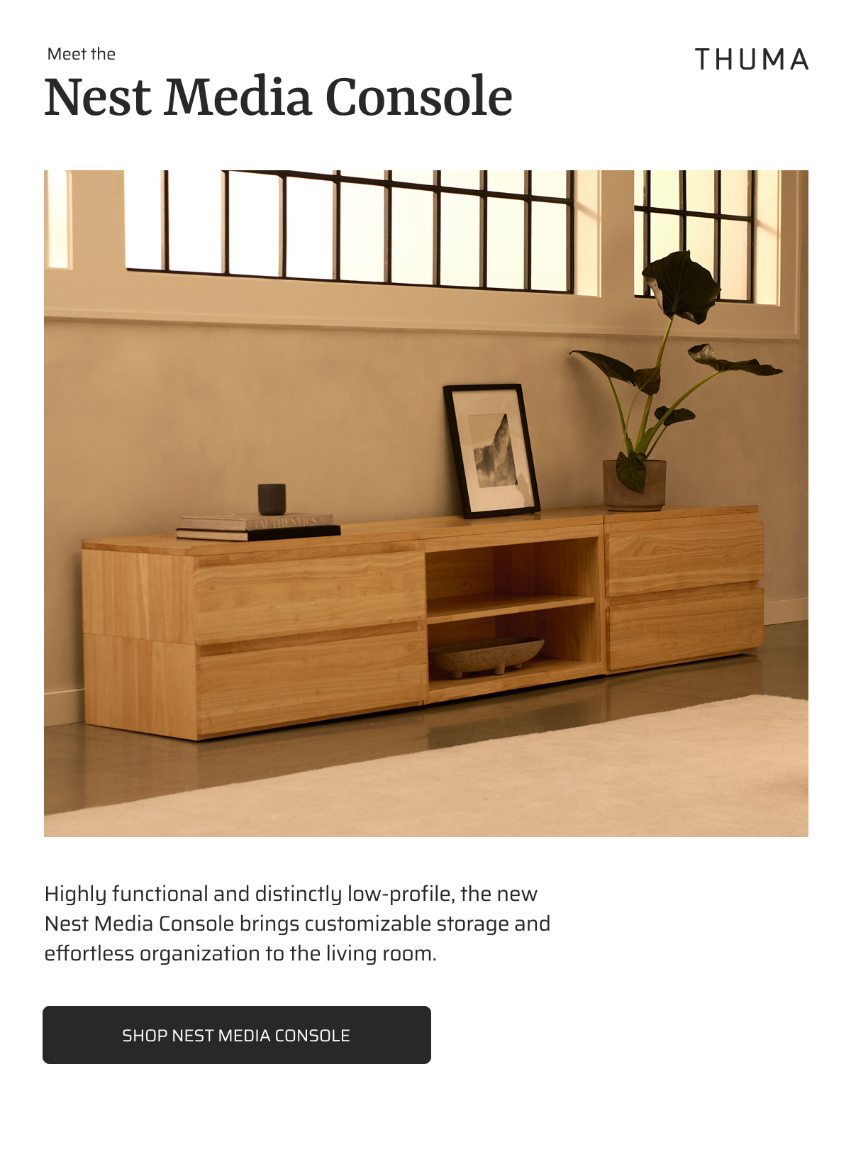Nest Media Console. Shop Nest Media Console