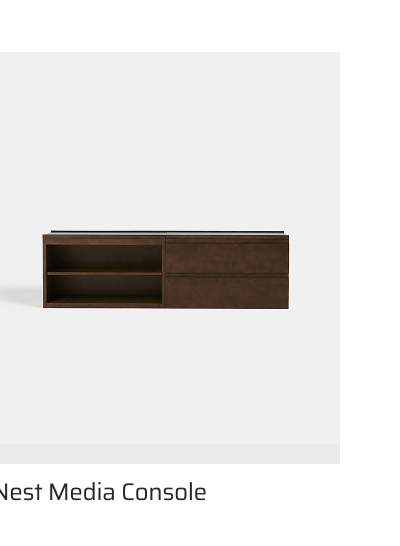 Nest Media Console