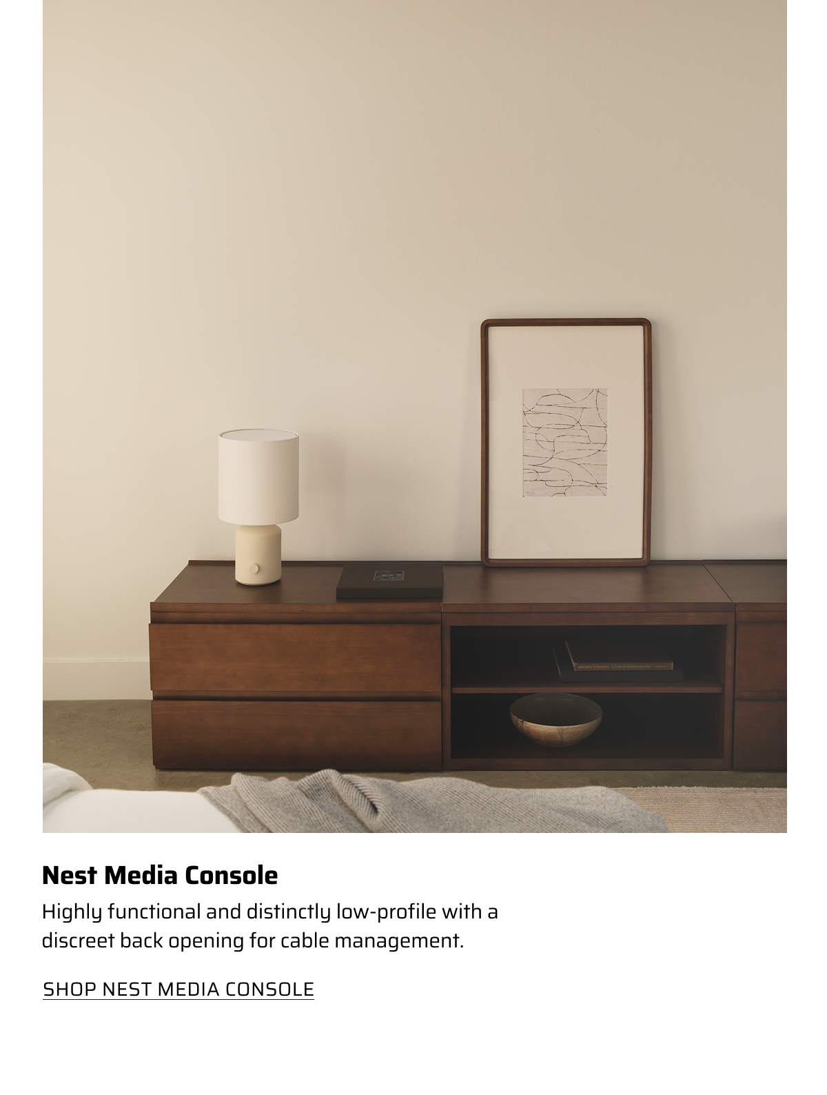 Nest Media Consol