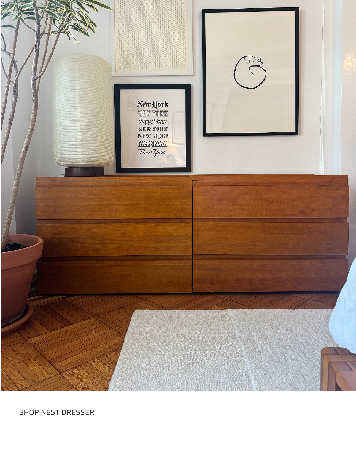 Shop Nest Dresser