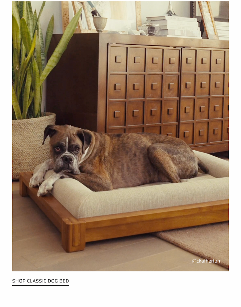 Shop Classic Dog Bed