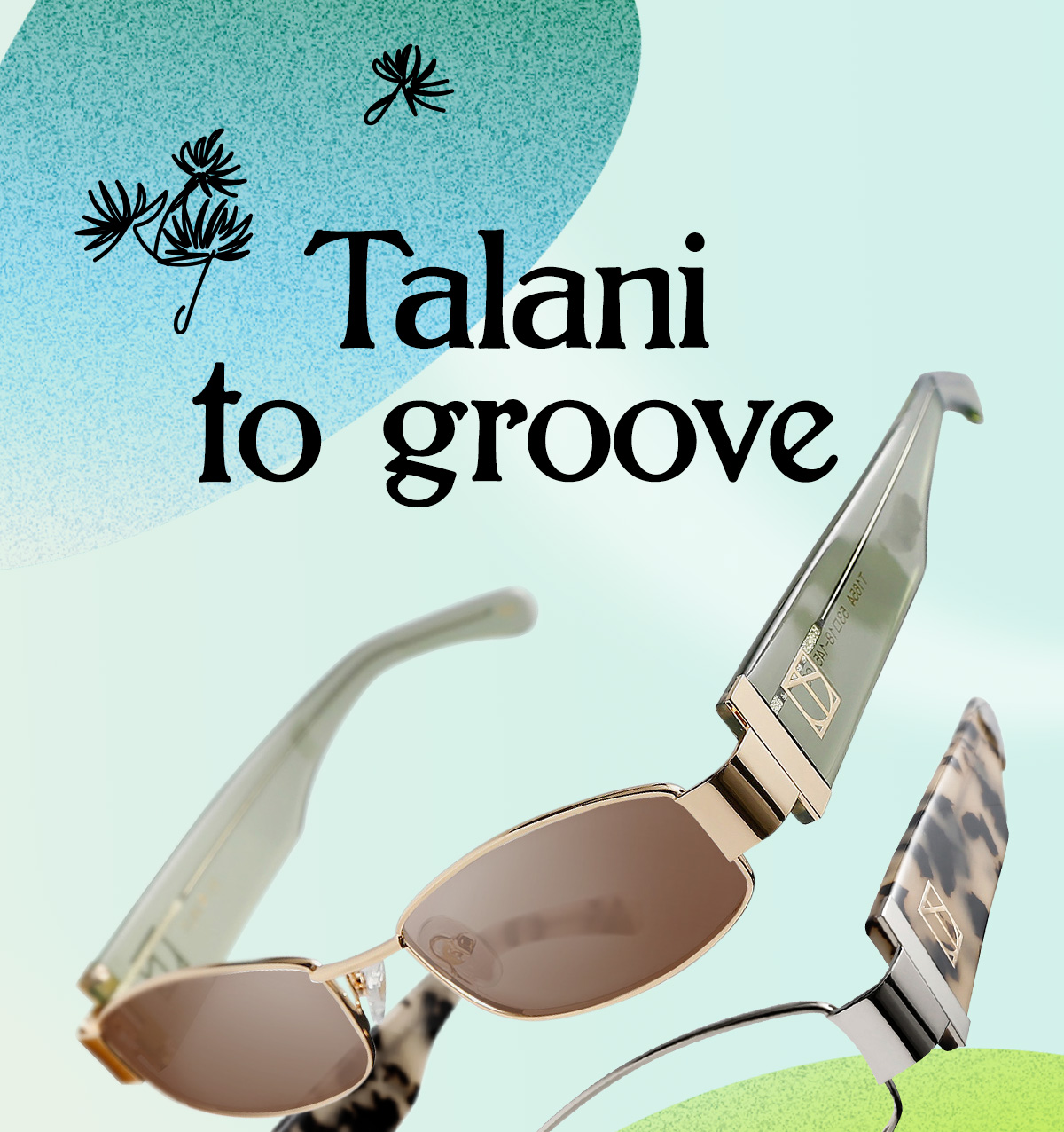 Talani to groove