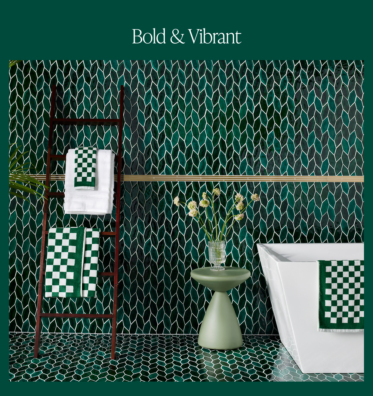 Bold & Vibrant