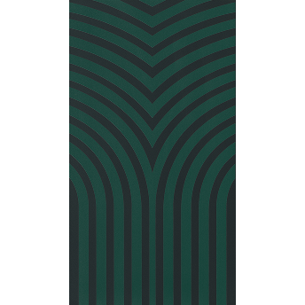 Elipse Carbono