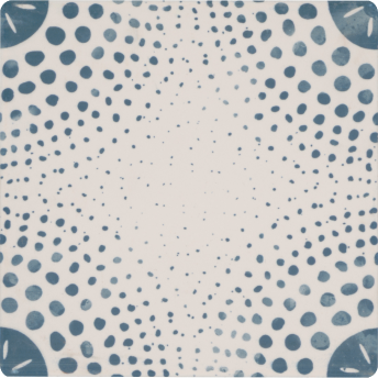 Jeffrey Alan Marks Sand Dollar Ocean