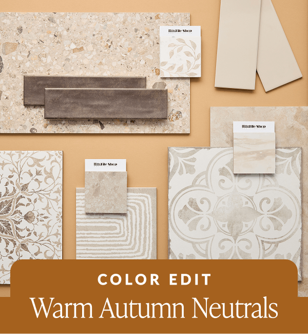 Color Edit Warm Autumn Neutrals