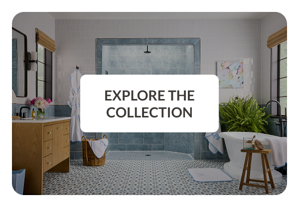 Explore the Collection
