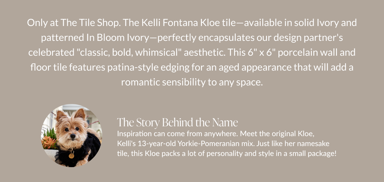 Only at The Tile Shop. The Kelli Fontana Kloe tile-available in solid Ivory and patterned In Bloom Ivory-perfectly encapsulates our design partner's celebrated "classic, bold, whimsical" aesthetic. This 6" x 6" porcelain wall and floor tile features patina-style edging for an aged appearance that will add a romantic sensibility to any space. The Story Behind the Name - Inspiration can come form anywhere. Meet the original Kloe, Kelli's 13-year old Yorkie-Pomeranian mix. Just like her namesake tile, this Kloe packs a lot of personality and style in a small package! 