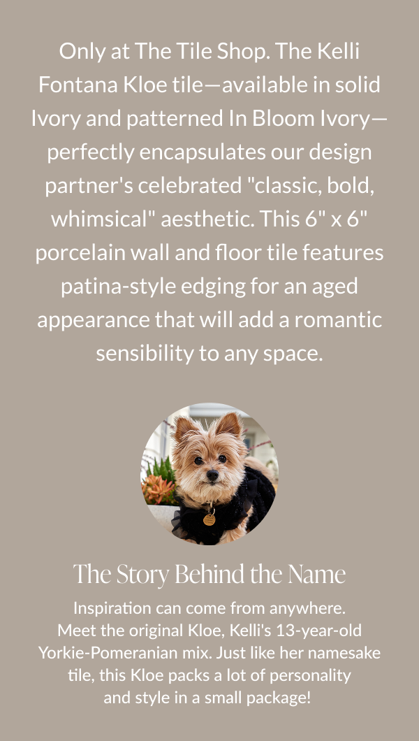Only at The Tile Shop. The Kelli Fontana Kloe tile-available in solid Ivory and patterned In Bloom Ivory-perfectly encapsulates our design partner's celebrated "classic, bold, whimsical" aesthetic. This 6" x 6" porcelain wall and floor tile features patina-style edging for an aged appearance that will add a romantic sensibility to any space. The Story Behind the Name - Inspiration can come form anywhere. Meet the original Kloe, Kelli's 13-year old Yorkie-Pomeranian mix. Just like her namesake tile, this Kloe packs a lot of personality and style in a small package! 