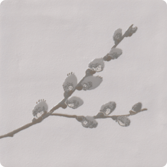Laura Ashley Pussy Willow Charcoal