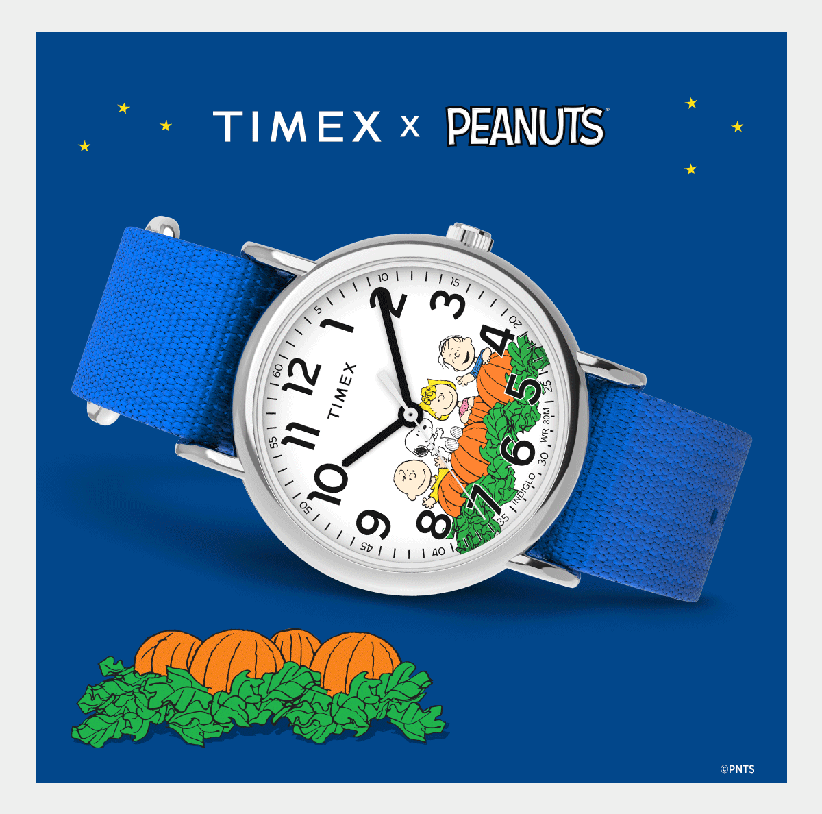 timex x peanuts