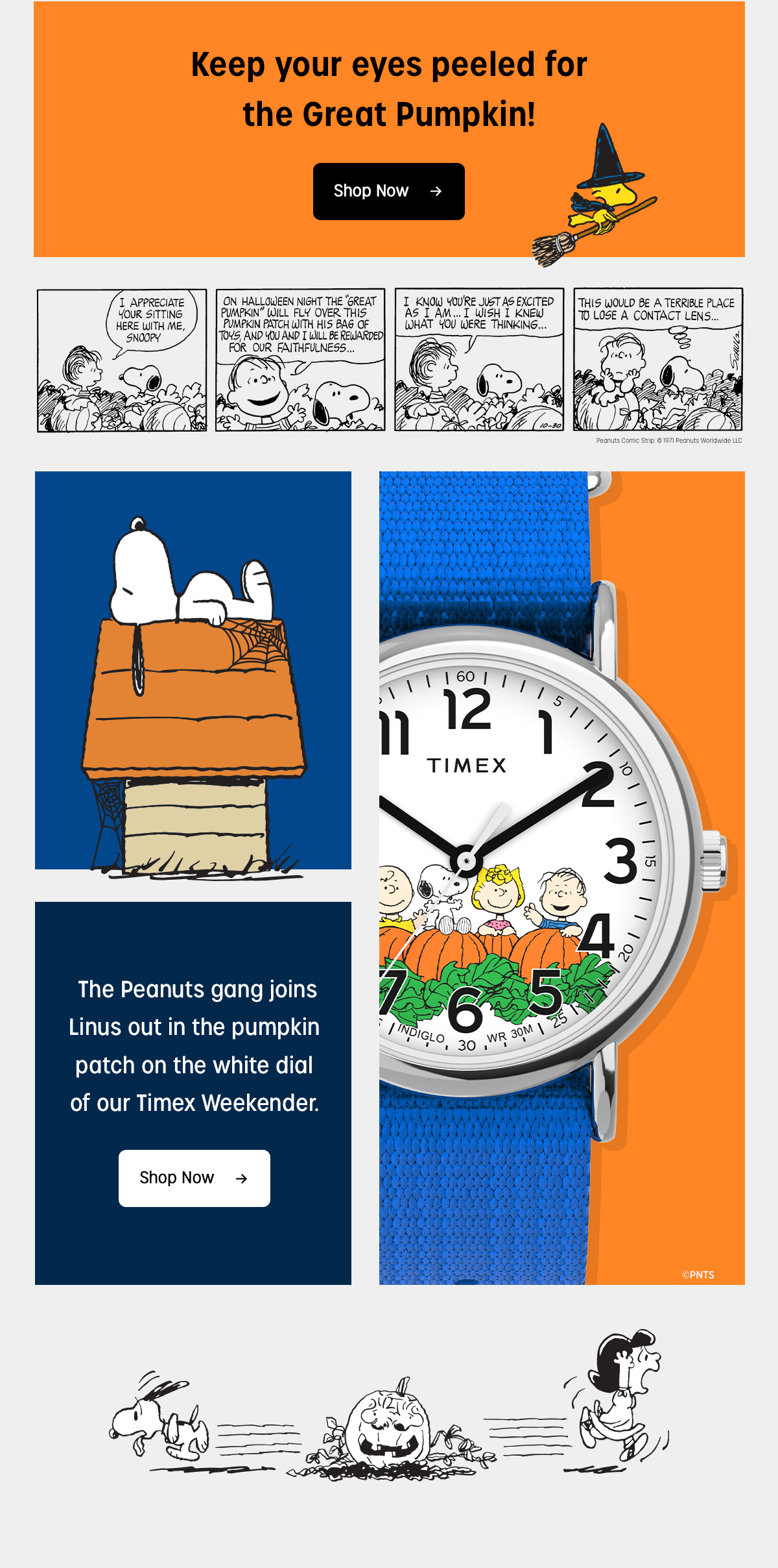 keep your eyes peeled for the great pumpkin | shop now | the peanuts gang joins linus out in the pumpkin patch on the white dial of our timex weekender. | shop now