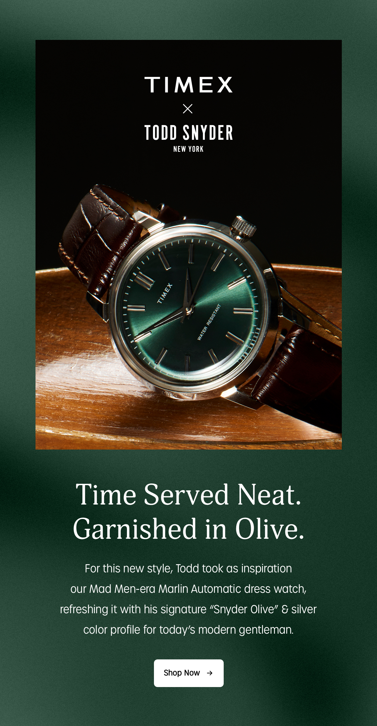 timex x todd snyder new york - shop now