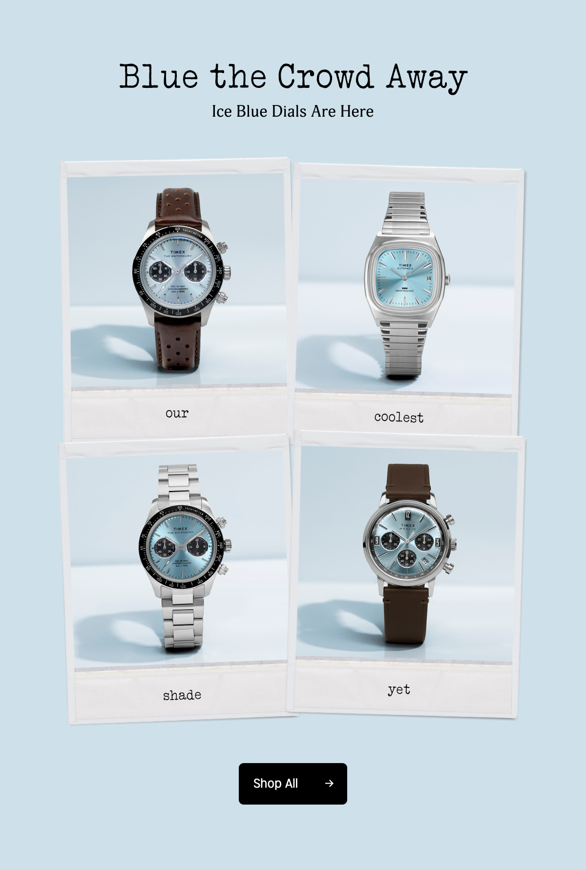 Shop All (Ice Blue Collection) - Timex