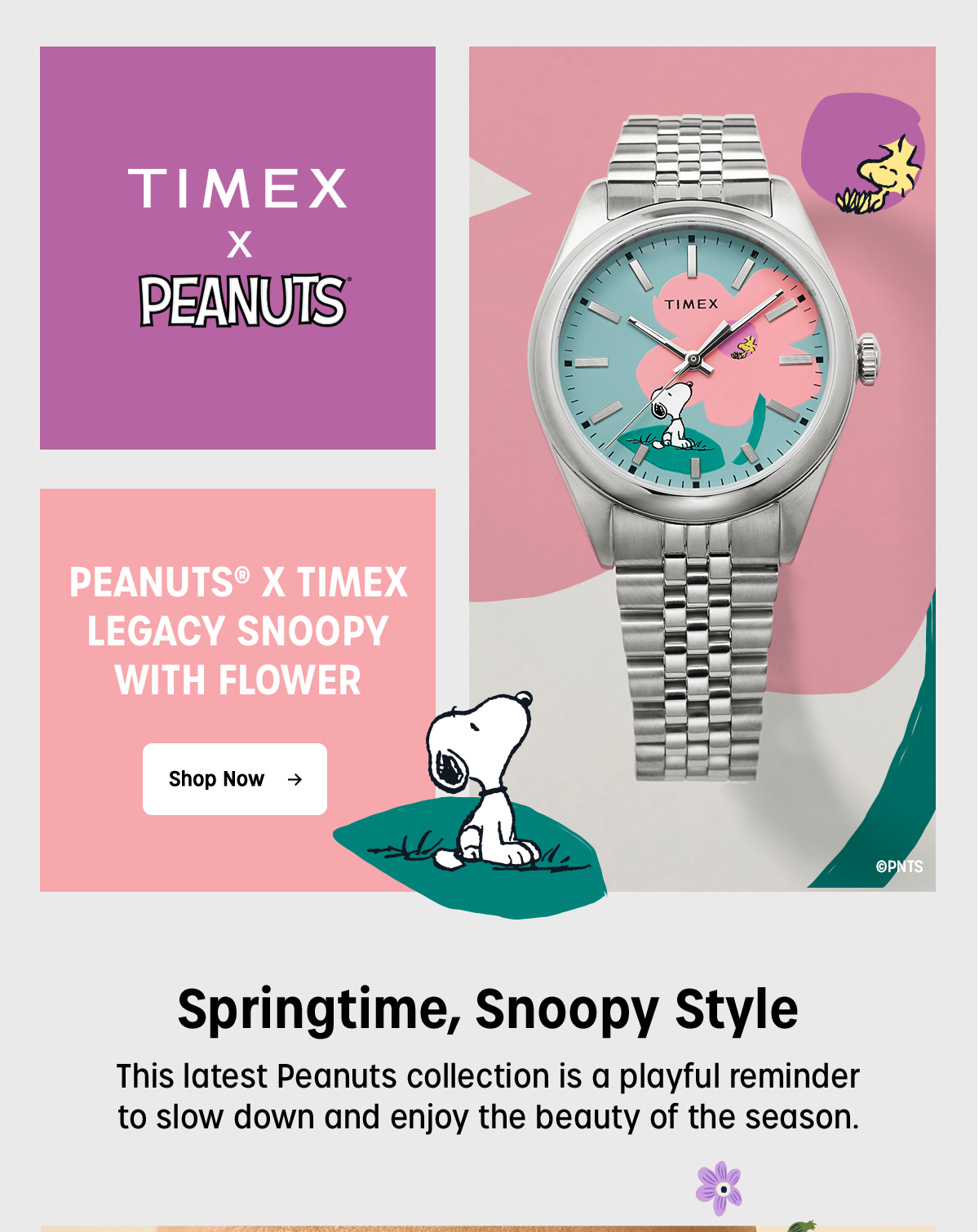 Shop Now (Peanuts® x Timex Legacy Snoopy with Flower Dial) - Timex