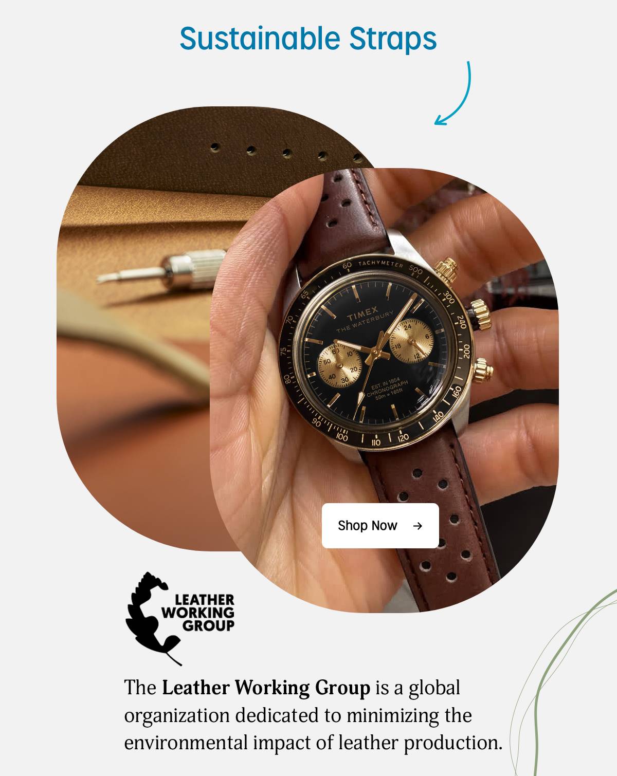 Shop Now - Timex