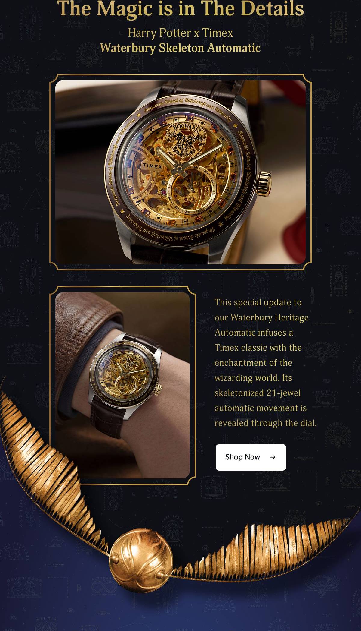 Shop All (Harry Potter x Timex Waterbury Skeleton Automatic) - Timex