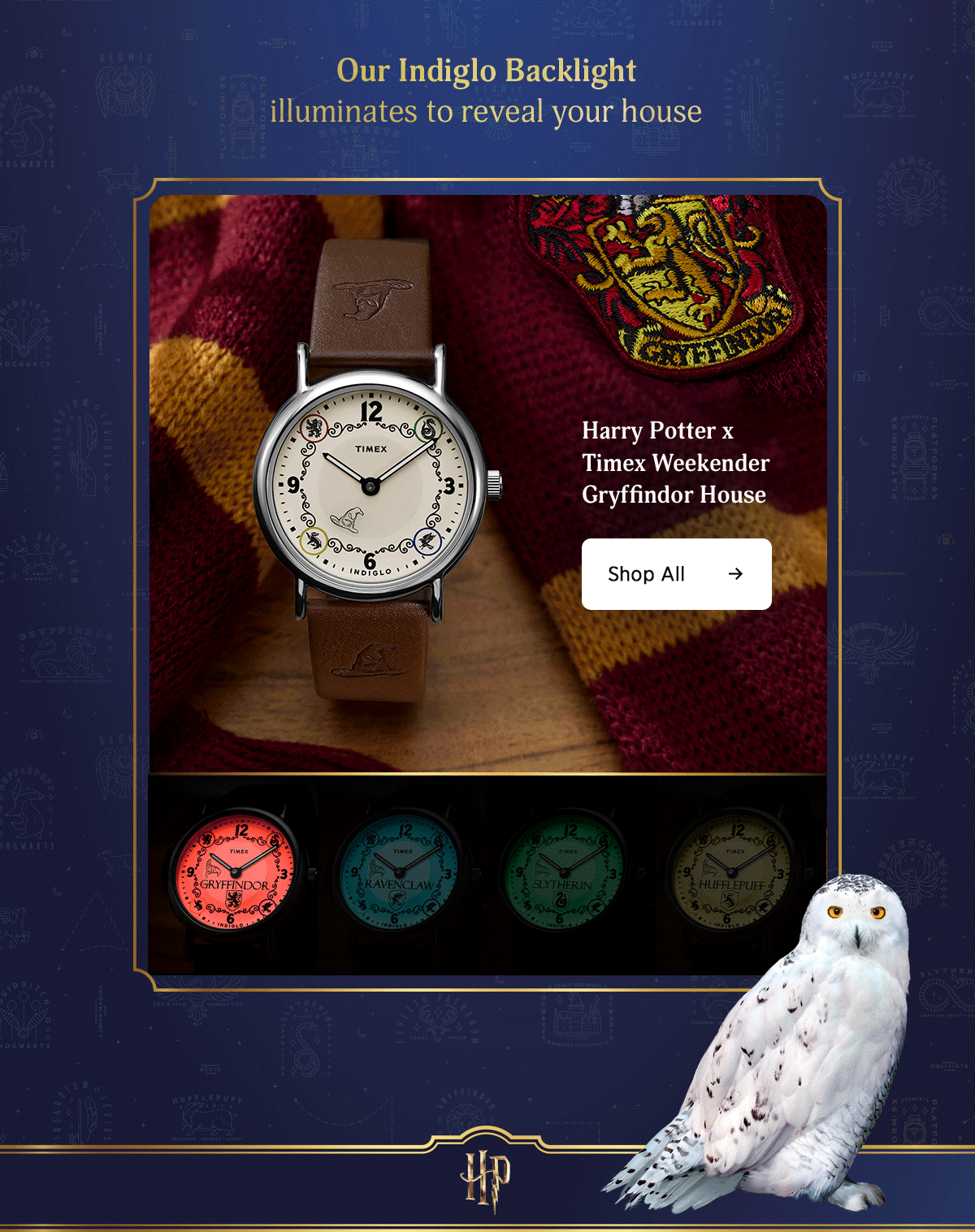 Shop All (Harry Potter x Timex Weekender) - Timex