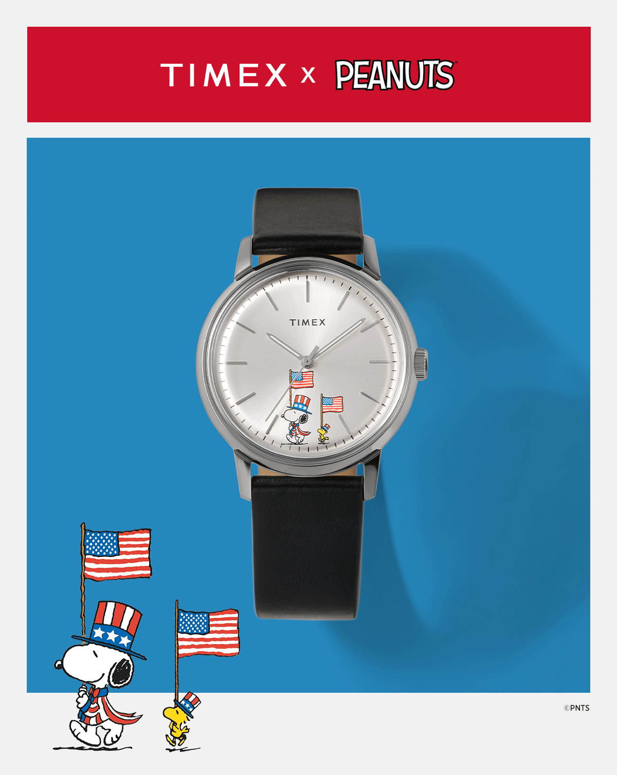 250 Years of America The Beautiful - Timex