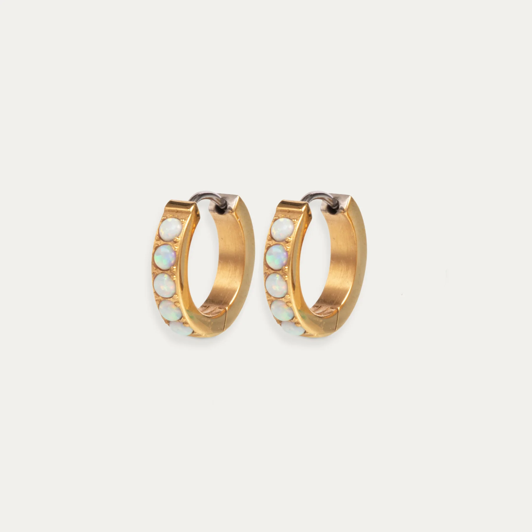 Image of Alana Hoop Earrings