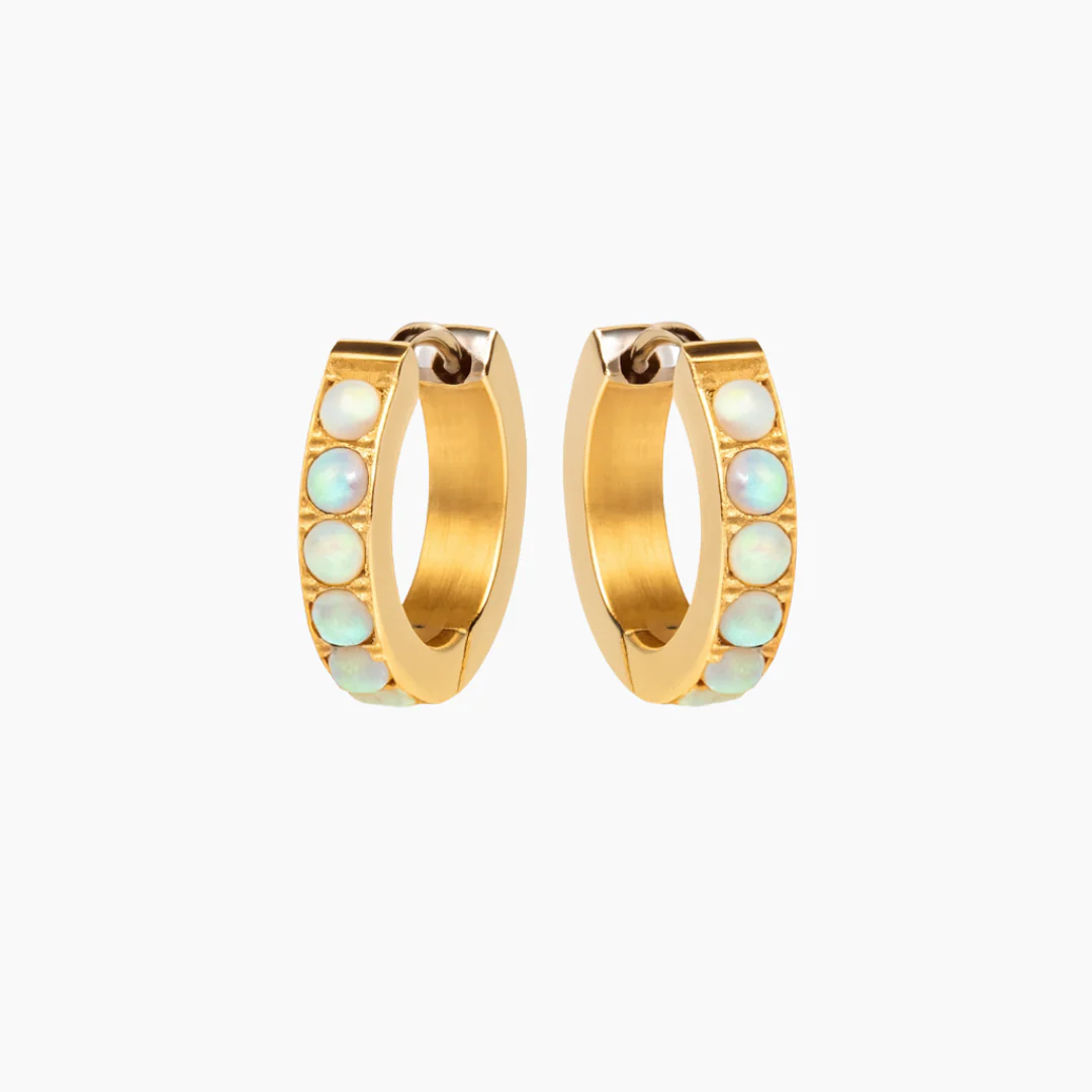 Image of Alana Hoop Earrings
