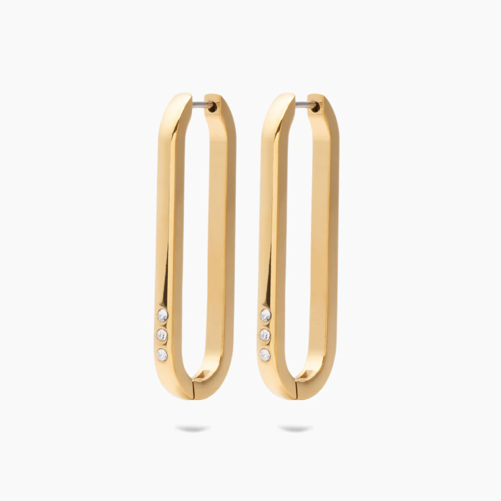 Image of Ana Hoops