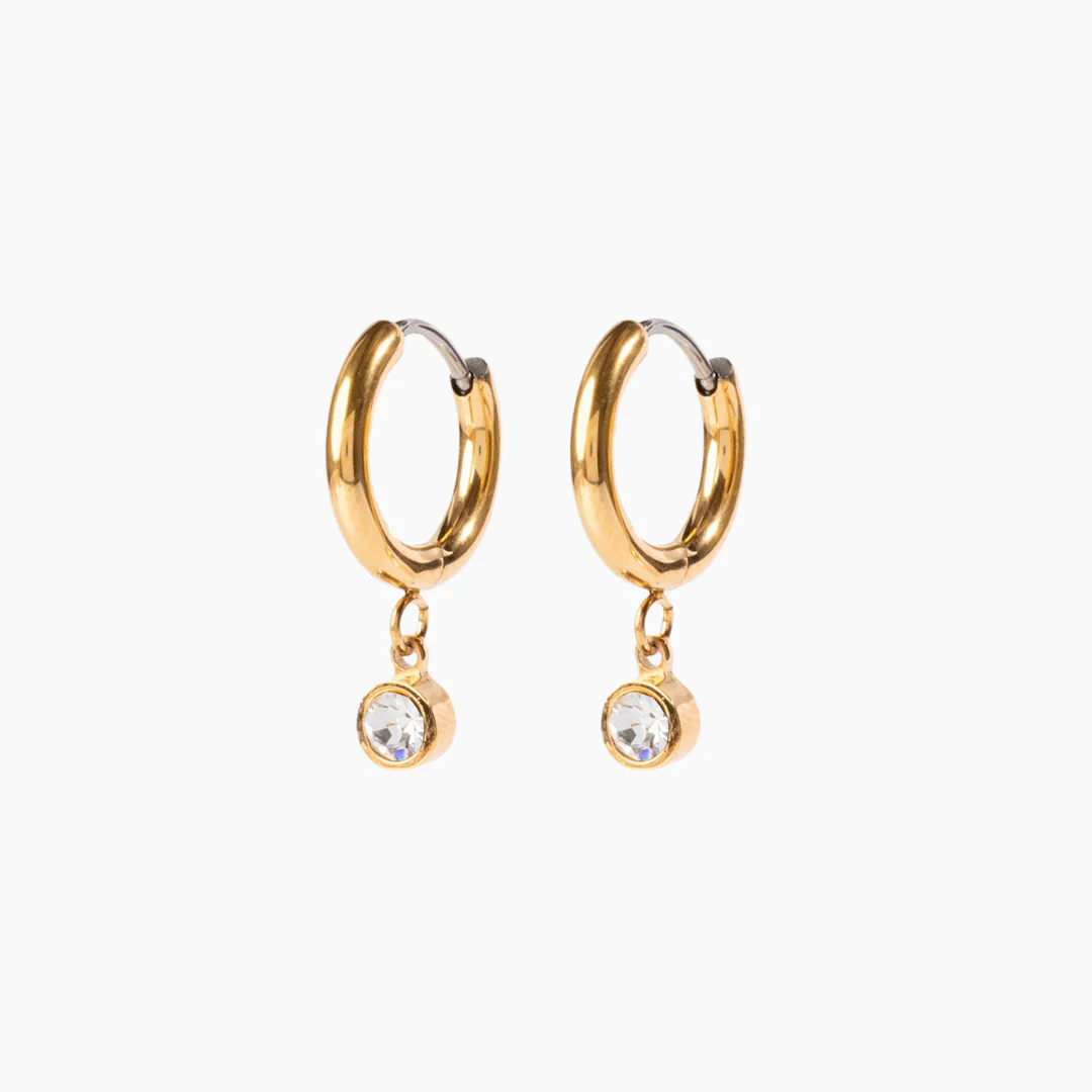 Image of Crystal Charm Hoop Earrings