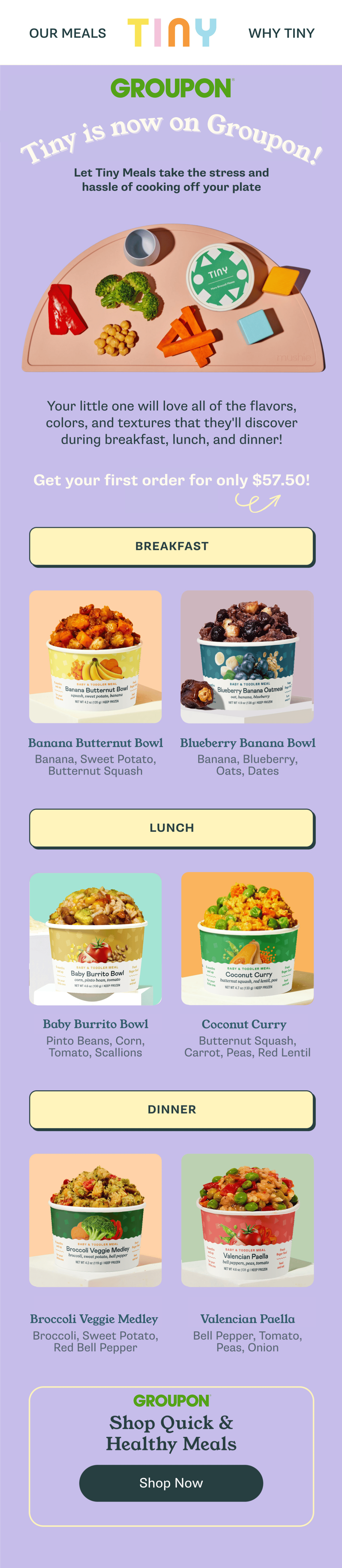 Tiny Organics on Groupon