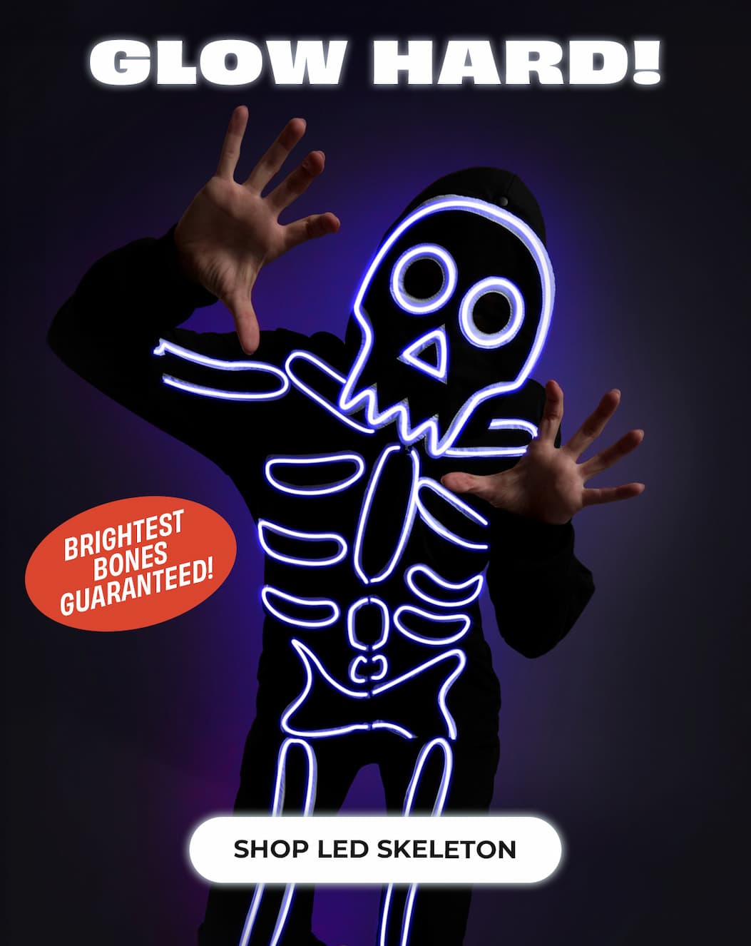 Shop Led Skeleton
