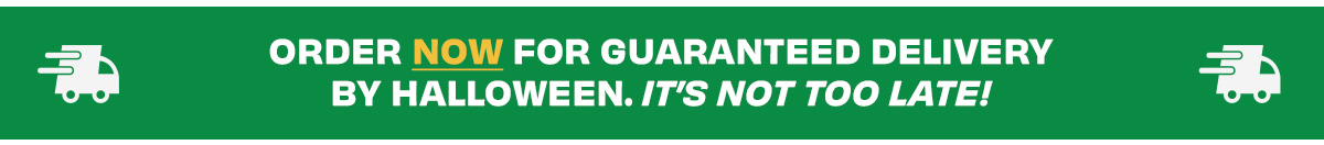 Order Now for on time delivery!