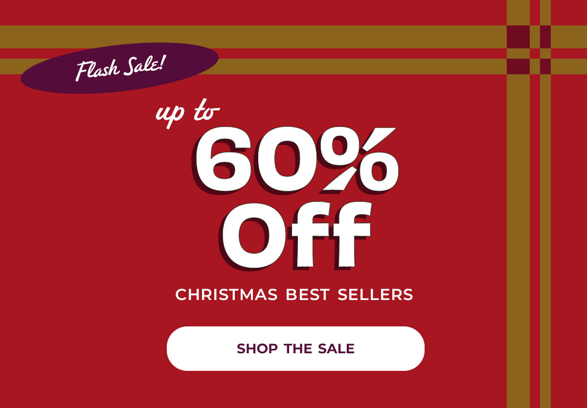 Holiday Flash Sale - up to 60% off