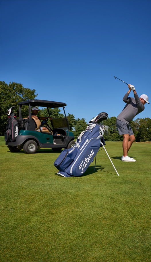 Hybrid Stand Bags