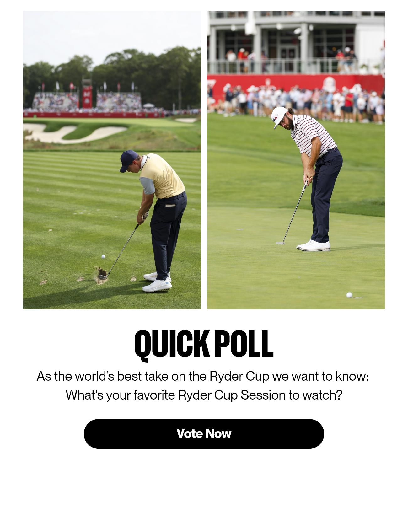 Quick Poll