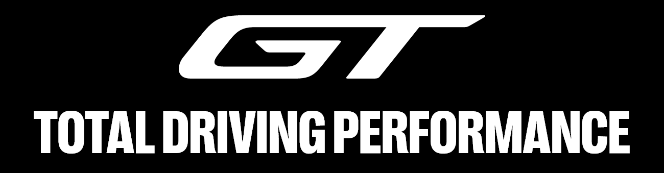 GT Technology